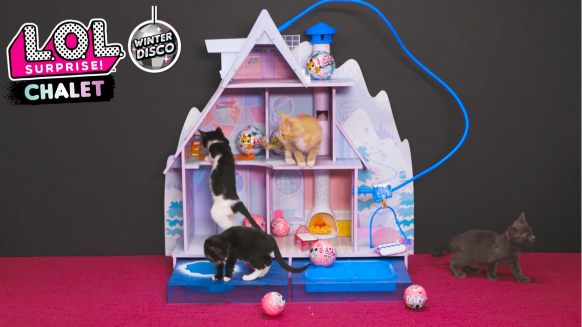 Kittens Playing in the L.O.L. Surprise! Winter Disco Chalet