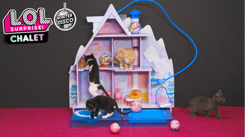 Kittens Playing in the L.O.L. Surprise! Winter Disco Chalet
